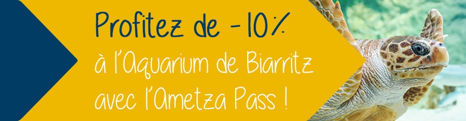 aquarium de biarritz ametza pass