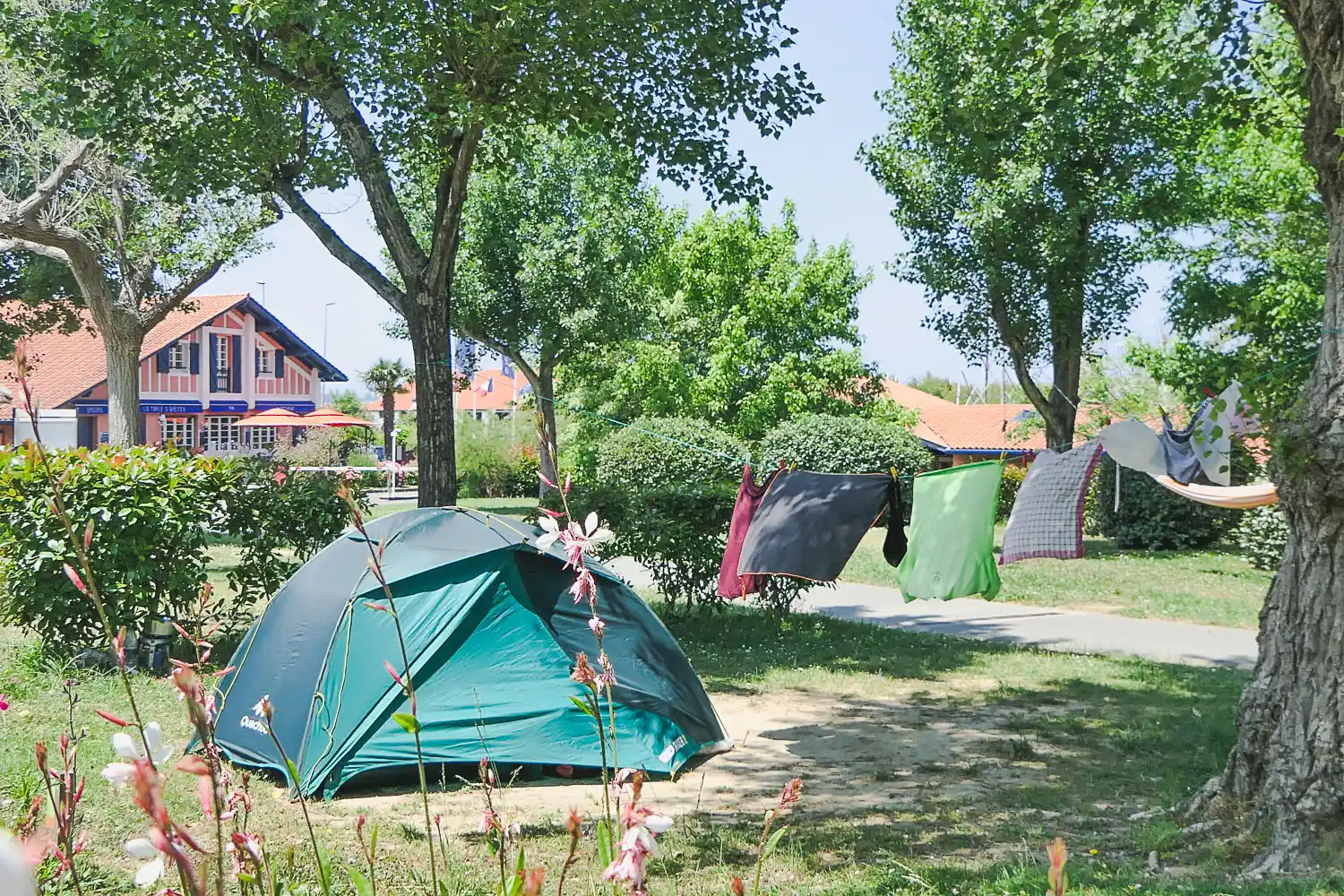 AMETZA LOCATIES van