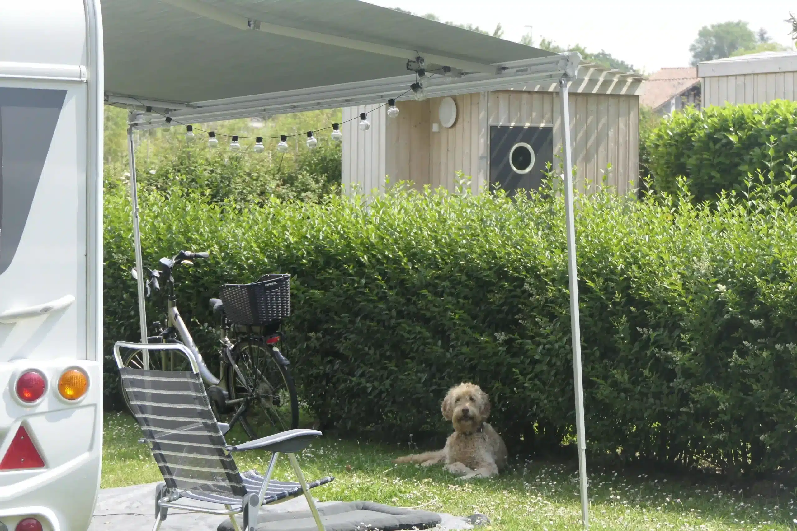 location animal compagnie camping pays basque